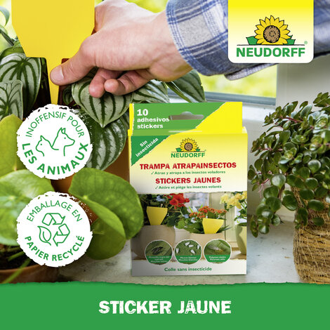 Trampa Atrapainsectos Sprechende Bilder Bild 5