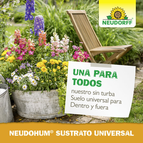 NeudoHum Substrato Universal Sprechende Bilder Bild 6_ES