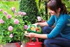Las nuevas Guías para proyectos de Neudorff inspiran al país a dedicarse a la jardinería