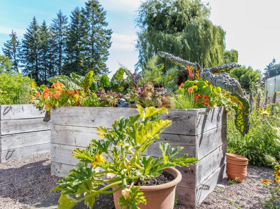 En la jardinería de suelo elevado puede trabajar sin tener que agacharse, la verdura crece más rápido y a menudo el rendimiento es mayor que en un terreno no elevado