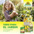 NeudoHum Substrato Universal Sprechende Bilder Bild 7_ES