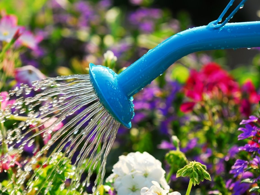 Una regadera de la que sale agua Una regadera de la que sale agua