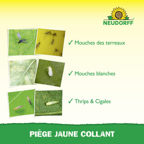 Trampa Huerto Sprechende Bilder Bild 4