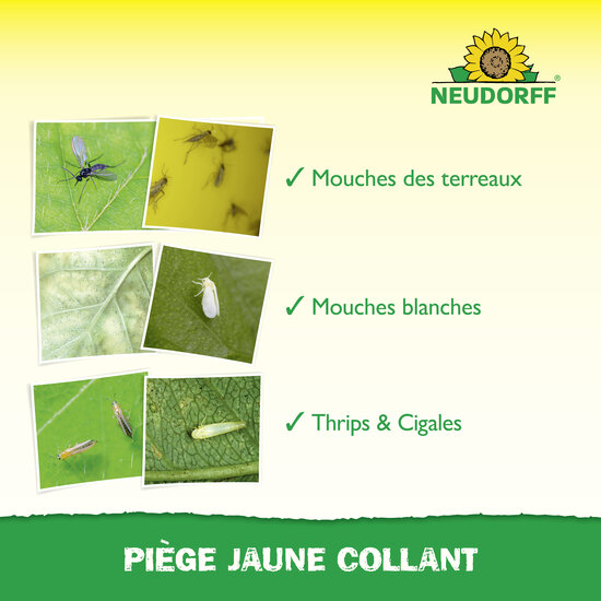 Trampa Huerto Sprechende Bilder Bild 4