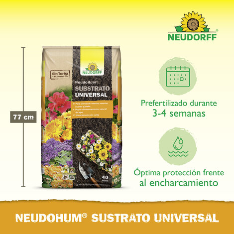 NeudoHum Substrato Universal Sprechende Bilder Bild 3_ES