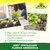Azet Fertilizante Plantas Aromáticas Sprechende Bilder Bild 4_ES