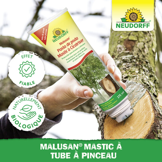 Malusan Pasta de poda Sprechende Bilder Bild 5