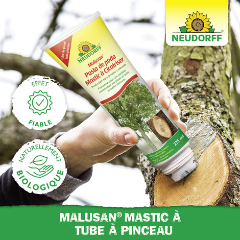 Malusan Pasta de poda Sprechende Bilder Bild 5