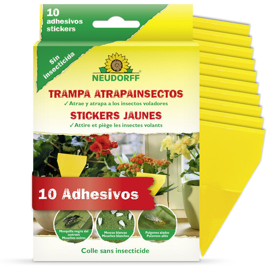 Trampa Atrapainsectos Sprechende Bilder Bild 1_ES