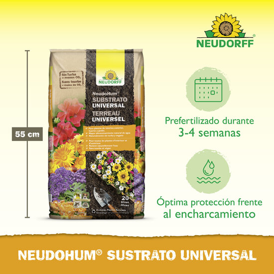 NeudoHum Substrato Universal Sprechende Bilder Bild 3_ES