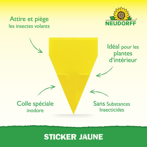 Trampa Atrapainsectos Sprechende Bilder Bild 2