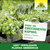 Azet Fertilizante Plantas Aromáticas Sprechende Bilder Bild 7_ES