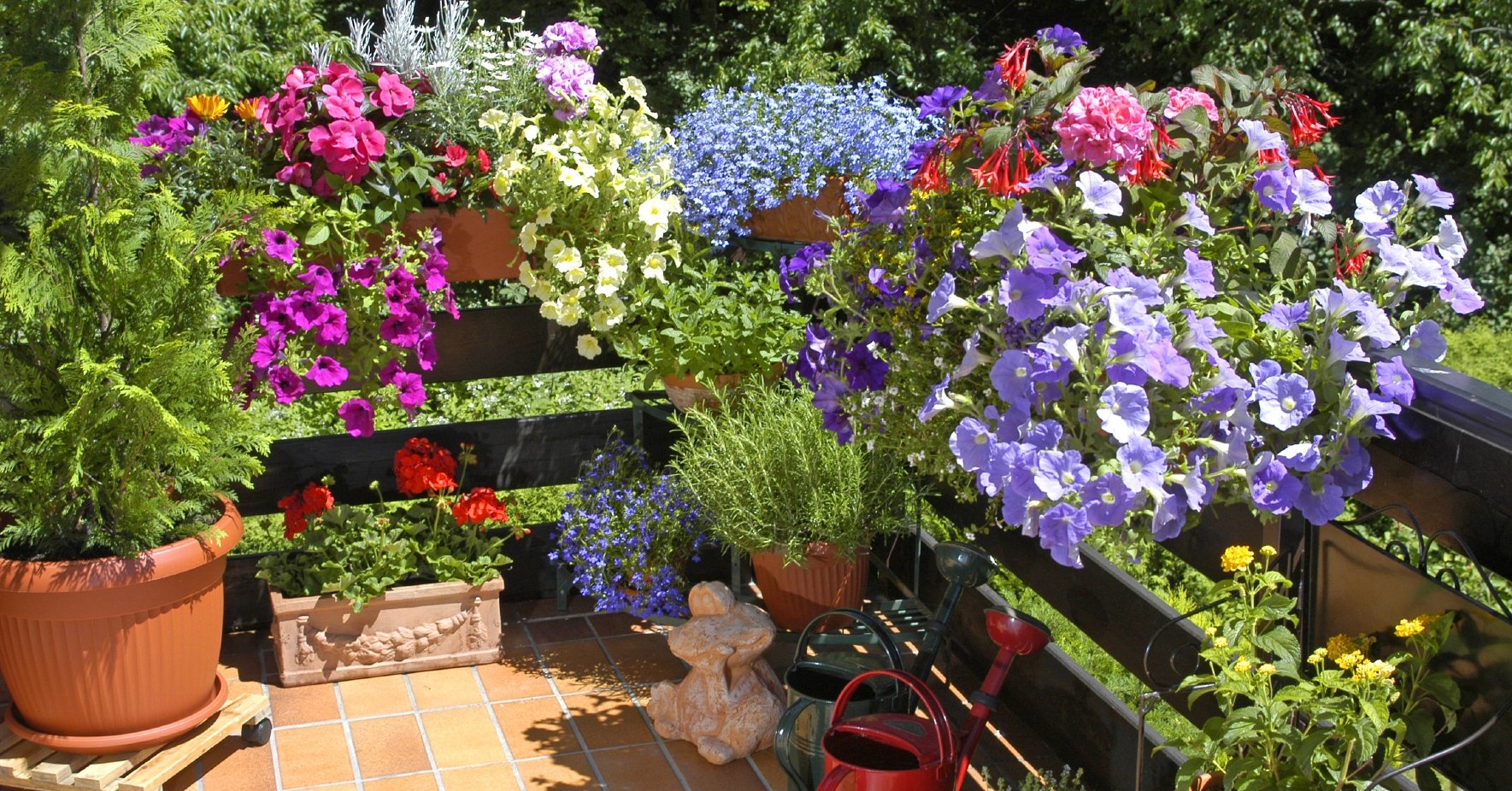 coloridas flores en macetas en un balcón