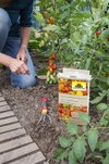 Las nuevas Guías para proyectos de Neudorff inspiran al país a dedicarse a la jardinería