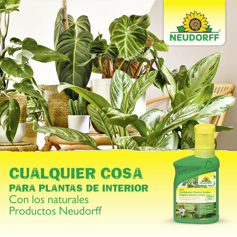 Trampa Atrapainsectos Sprechende Bilder Bild 8_ES