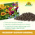 NeudoHum Substrato Universal Sprechende Bilder Bild 4_ES