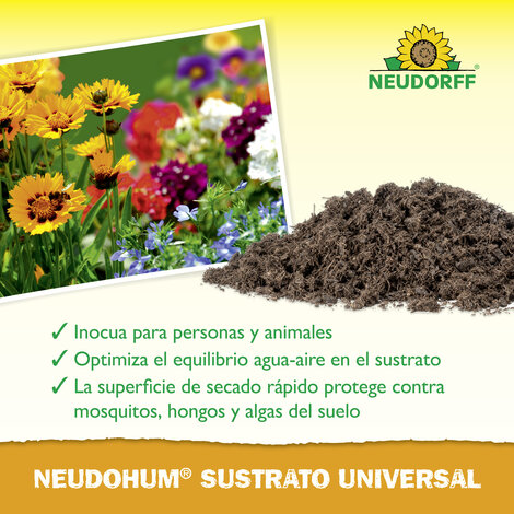 NeudoHum Substrato Universal Sprechende Bilder Bild 4_ES