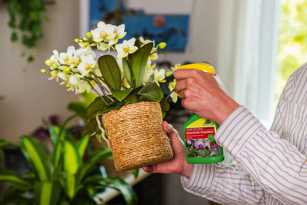 Spruzit_RTU_Natural_Insecticida_Orquídeas_250ml.jpg