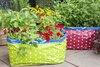 Las nuevas Guías para proyectos de Neudorff inspiran al país a dedicarse a la jardinería