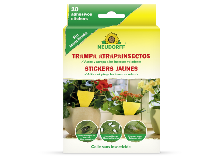 Trampa Atrapainsectos