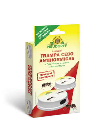 Loxiran Trampa Cebo Antihormigas