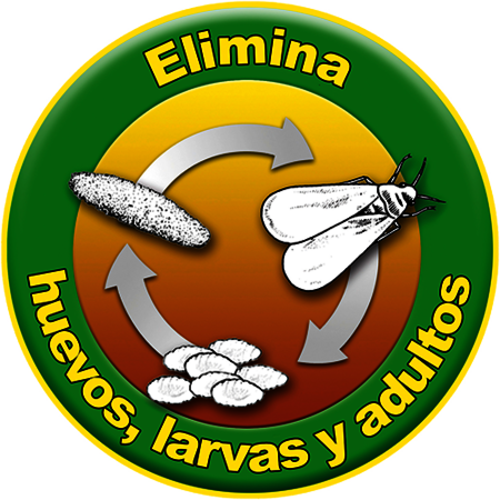 ES - Elimina huevos, larvas y adultos