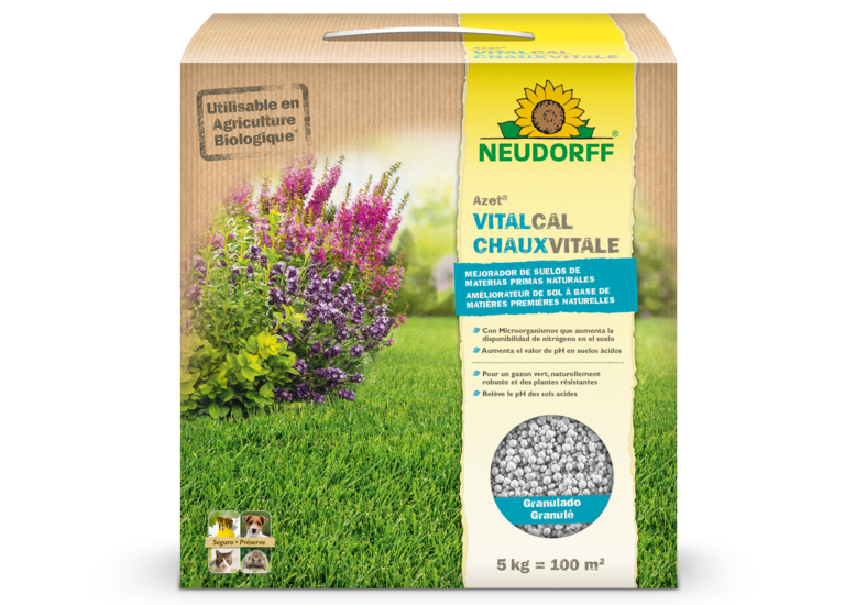 Azet VitalCAL