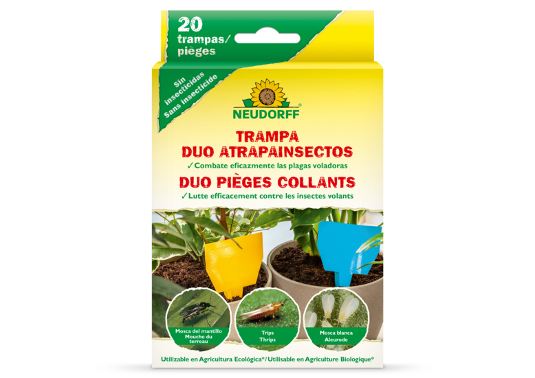 Trampa DUO Atrapainsectos