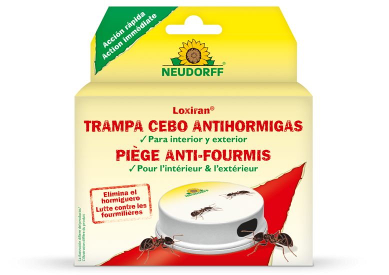 Loxiran Trampa Cebo Antihormigas 1ud.