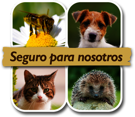 ES - Seguro para nosotros